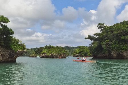 Okinawa: Kayak Mangroves & Ocean Native-English Private Tour