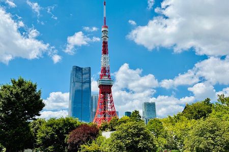 Tokyo Private 1-Day Tour by Car with Local Guide