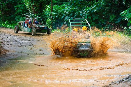 Full Adventure Adrenaline Nature Zipline Buggy and Horse