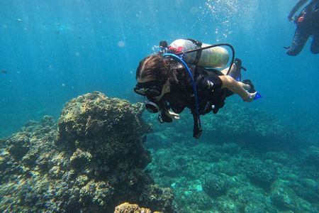 Diving exploration for beginners in Los Arcos de Mismaloya