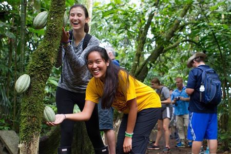 Chocolate and Cultural Tour in Costa Rica