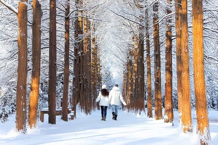 Half Day Tour to Eobi Ice Valley and Nami Island