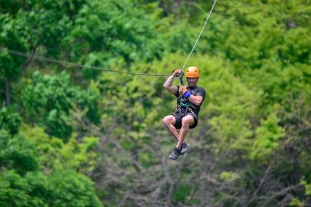 Puntarenas Private Shore Excursion: Crocodiles & Zipline