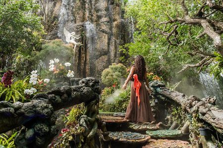 Chiang Mai to Chiang Rai Temples and Lalita Cafe Day Tour