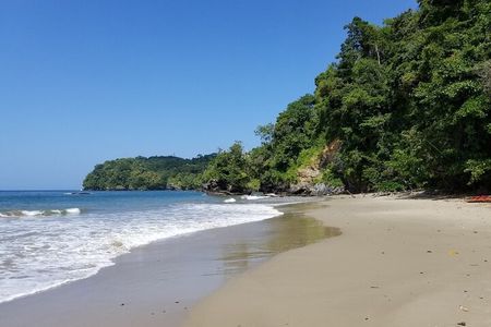 A True Trinidad North Coast Excursion experience