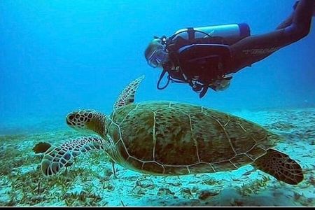 Anguilla Based: PADI Discover Scuba (Introductory Dive)