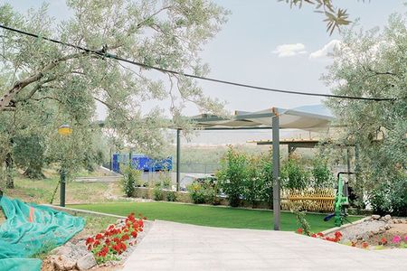 Olive Oil Tasting Tour with Corinth Canal Stop