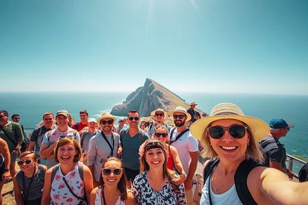 Table Mountain & Cape Point Full-Day Tour from Cape Town