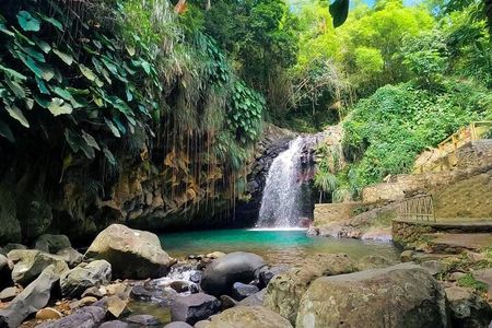Best of Grenada: Waterfall, Grand Etang & Chocolate Half Day Tour