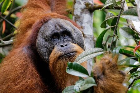 3 Days 2 Nights Ethical Jungle Trekking