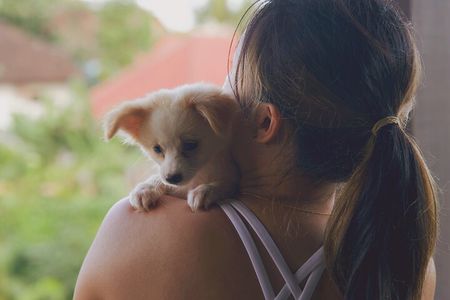 Puppy Yoga in Bali Ubud №1 Thing to Do in Bali