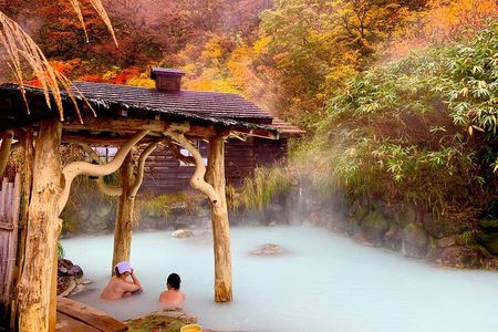 Group Day Tour to Fuji/Hakone - Onsen and Nature - From Tokyo