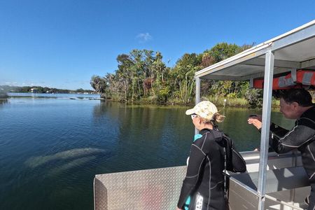 Manatee and Wildlife Viewing Tour