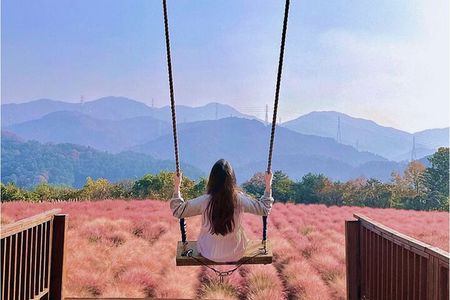 Seasonal Pocheon Full Day Tour with Apple Farm Experience