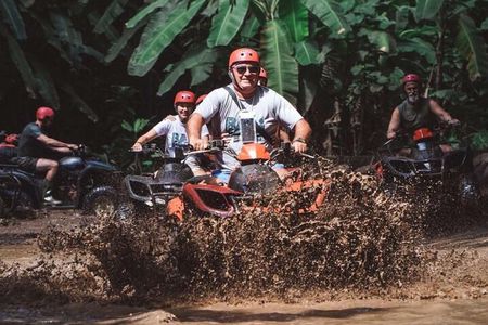 Bali ATV Quad Bike Monkey Forest Jungle Swing with Lunch