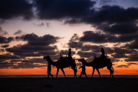 Camel Ride and Tequila Tasting Adventure in Los Cabos