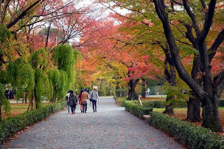 Kyoto Imperial Palace & Nijo Castle Guided Walking Tour - 3 Hours