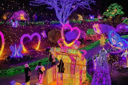 Strawberry & Eobi Valley & Nami Island & Garden of Morning Calm