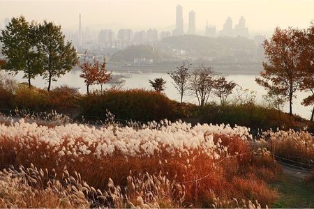 Seoul City Highlights Tour: Hanok Village, Scenic Routes