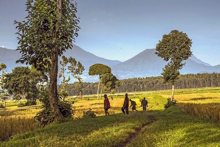 Volcanoes Scenic Walk and Caves Exploration Tour