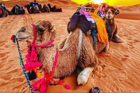4 Day Marrakech to Merzouga Luxury Desert Adventure