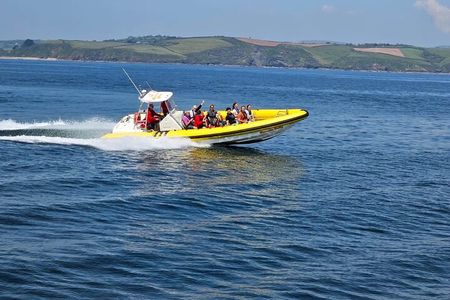 Dubai Speed Boat Tours: Marina, Atlantis and Burj Al Arab
