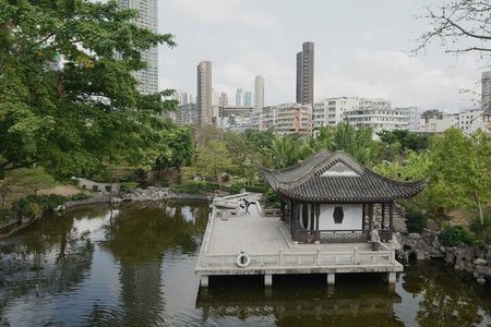 Discover Hong Kong: Private Half-Day or Full-Day Tour