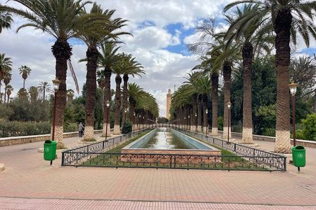 Tour to Taroudant and the Oasis DE Tiout Check-out from Agadir