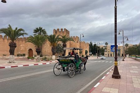 Tour to Taroudant and the Oasis DE Tiout Check-out from Agadir