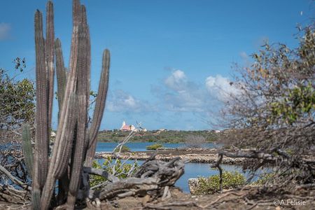 Private Photography tour - West Coast, Curaçao
