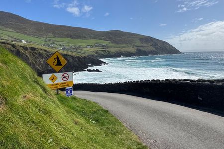 Dingle and Slea Head Private Tour from Cork
