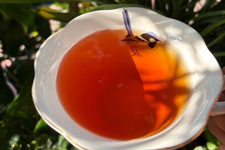 Ya'an Tea Horse Road Immersion | Tea Culture Lunch