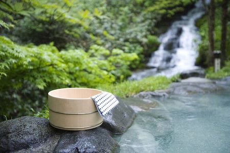 Hakone Hot Springs and Lake Ashi Private Day Tour from Tokyo
