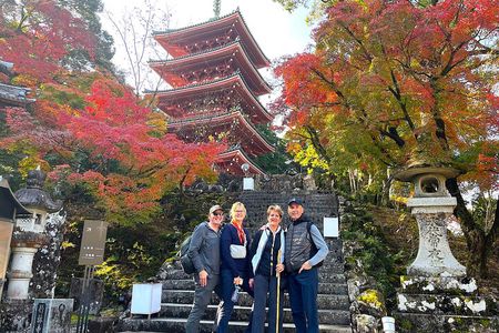 1-Day Kochi Highlights Tour with local guide