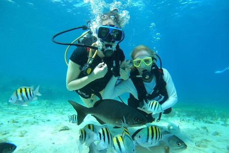 Cozumel Discover Scuba dive