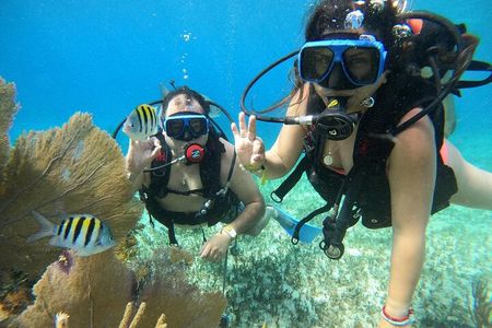 Beginner Scuba Diving Adventure at Chankanaab