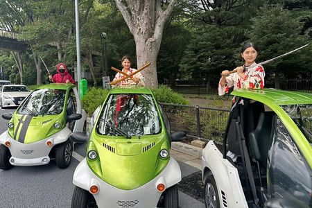 Official Tokyo Shibuya : KIMONO Dressed EV-Go Kart Activity Tour