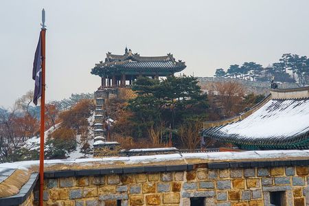 Suwon Fortress and Palace Tour with Optional Food Experience