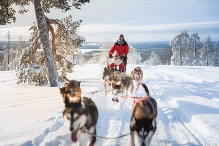 Arctic Husky Adventure in Rovaniemi