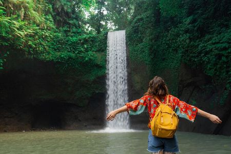 Ubud : Waterfalls, Water Temple & Rice Terraces Private Tour 