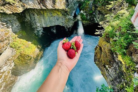 Private Trollstigen Adventure with Strawberry Valley & Waterfalls