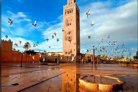 Visit vip Marrakech 5 h with driver polyglot & Palmeraie”