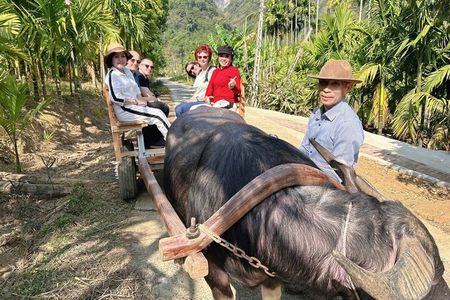 Pu Luong 3-Day Experiences: Cooking Class,Cycling & Buffalo Cart 