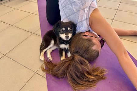 Puppy Yoga in einer Meerblick-Villa bei Paphos (Kleingruppe)