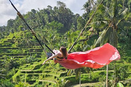 Ubud Private Full-Day Tour: Waterfall, Temples & Rice Terraces