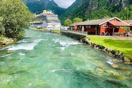 Private Shore Tour: Geiranger Royal Route & Farm Visit