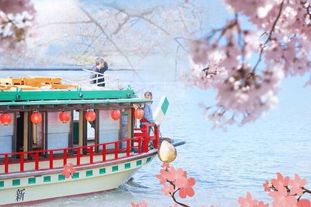 Tokyo Limited-Date Cherry Blossom Route Cruise & Show & Meal