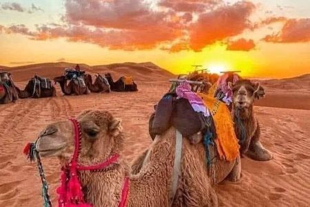 Merzouga Desert: Camel Ride & Camp