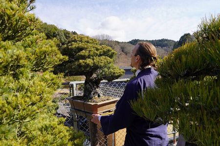 Hiroshima: Bonsai Tree Care Experience