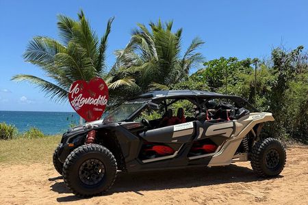 Aguadilla UTV Adventure: Conquer Trails & Discover Faro Ruins!